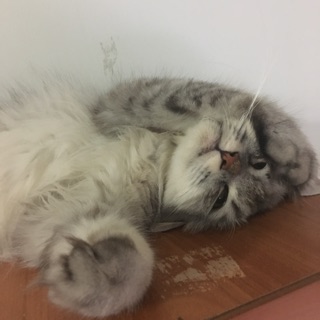 exior - 優惠推薦 - 2025年2月 | 蝦皮購物台灣