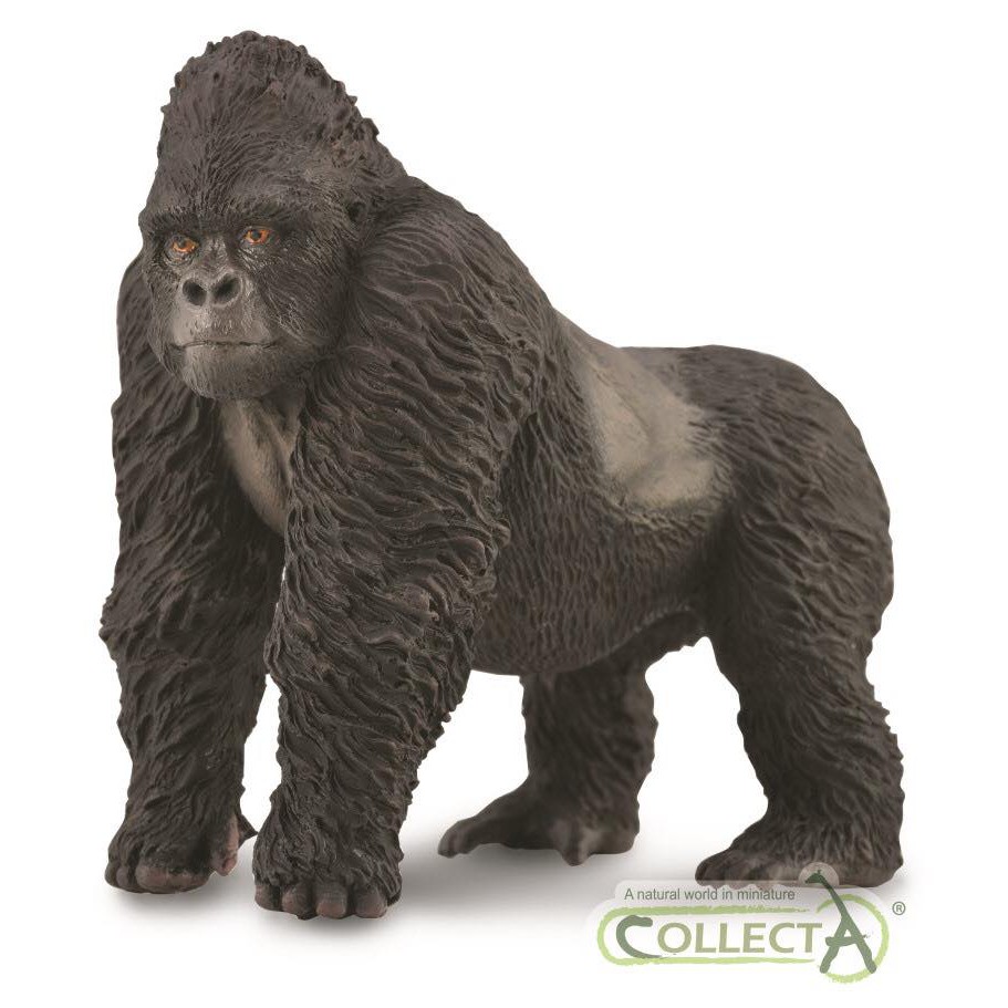 動物模型CollectA 黑猩猩大猩猩山地大猩猩大金剛猩猩| 蝦皮購物