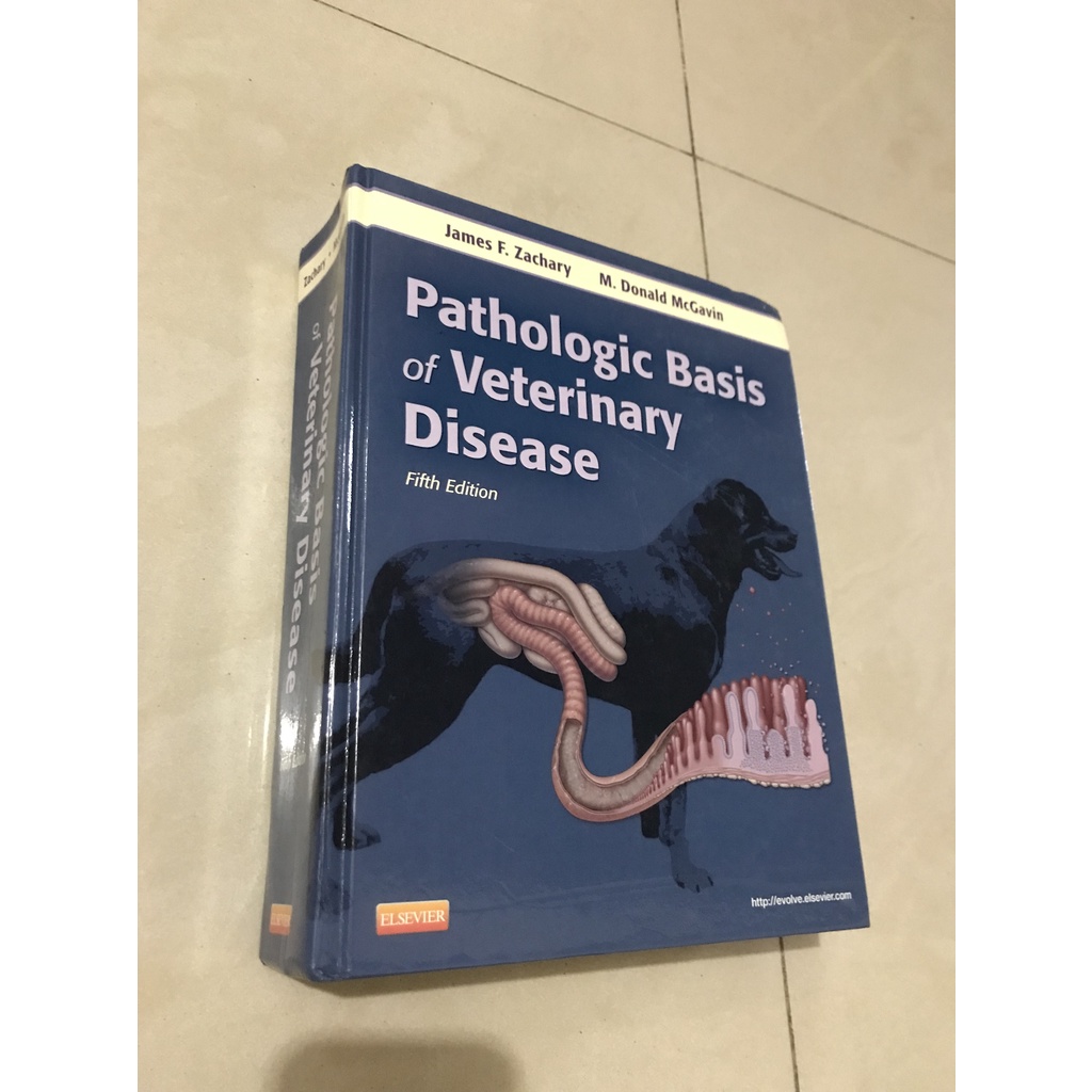 PATHOLOGIC BASIS OF VETERINARY DISEASE 5TH EDITION visual data 4