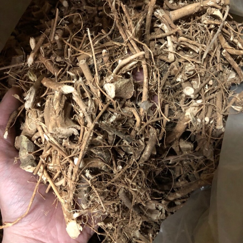 狗尾草根 九尾草 通天草 | 蝦皮購物