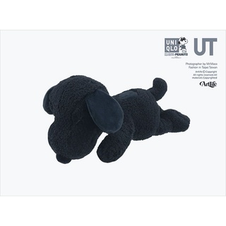 Black kaws hot sale snoopy