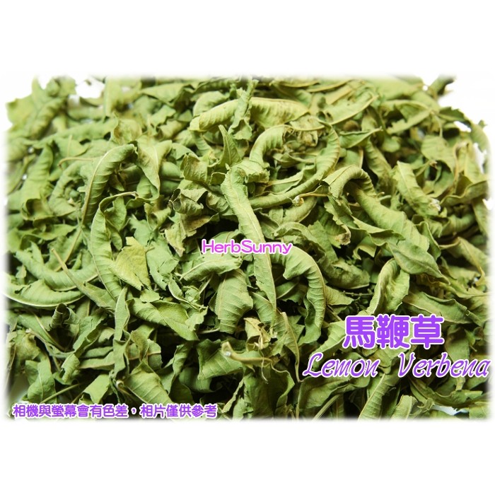 馬鞭草｜優惠推薦 - 蝦皮購物 - 2026年8月
