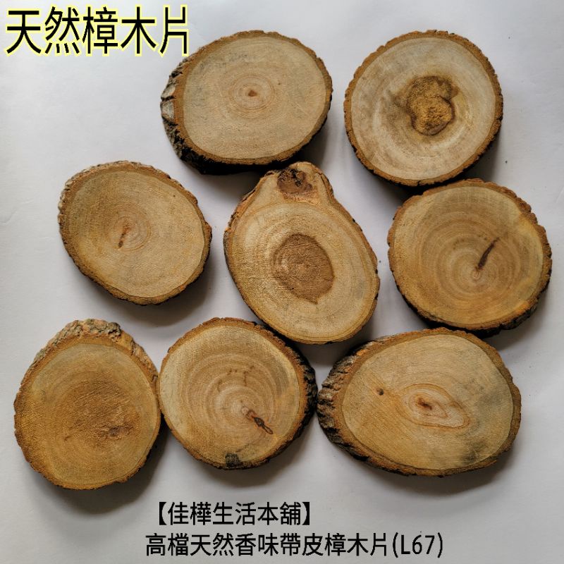防蚊擺件🇹🇼佳樺高檔天然香味帶皮樟木片L67帶樹皮香樟木 樟木底座圓切片香樟 樟木片 樟木塊 原木片 木杯墊展示座餐桌墊 | 蝦皮購物
