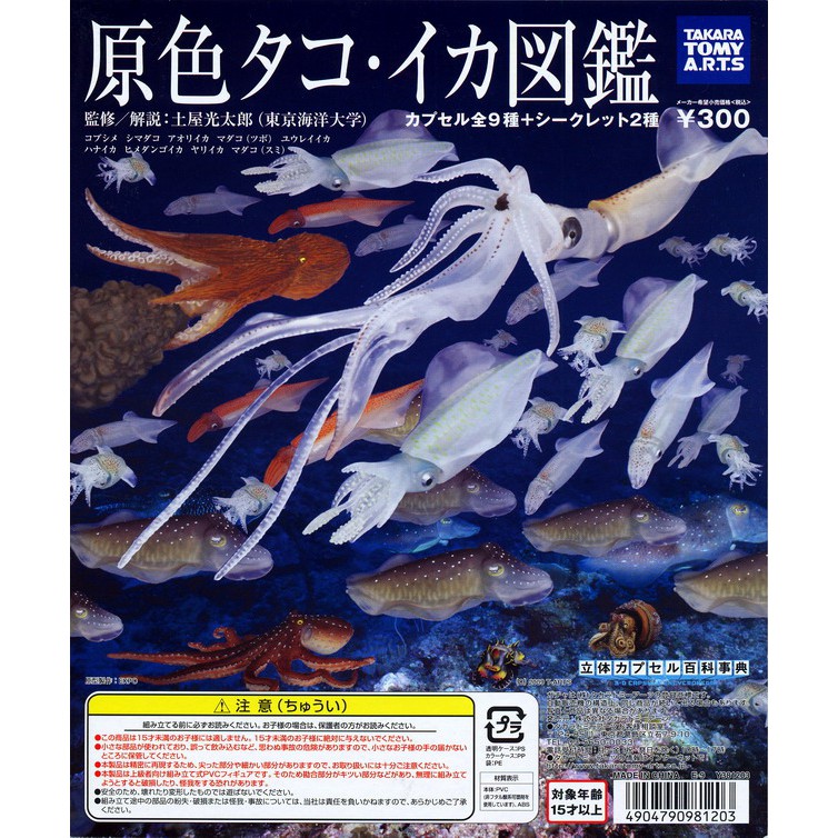 原色タコ・イカ図鑑