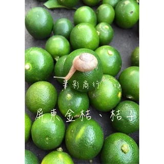 【🍋莘彩商行】屏東新鮮綠色金桔 #金桔 #小桔#新鮮水果 #綠色果皮 小提醒：照片裡的可愛小蝸牛只是路過打卡，