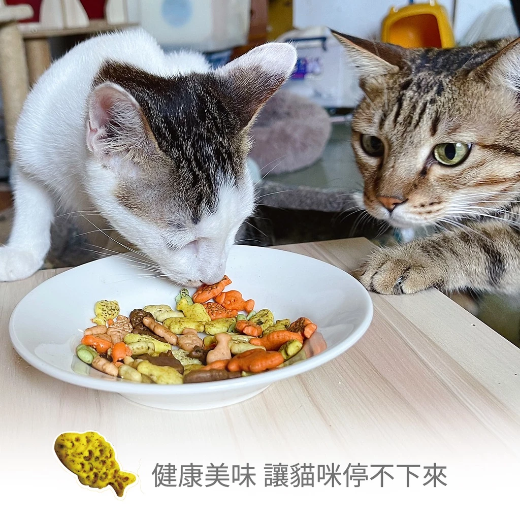《小貓亂亂買》Cat Glory 驕傲貓 貓薄荷餅(20G/包) 薄荷餅 貓餅乾 貓零食 隨手包 貓點心