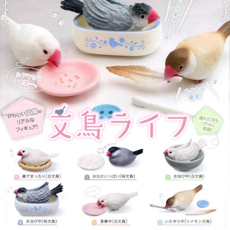 ついばみ隊 白 文鳥 【超歓迎】 - その他