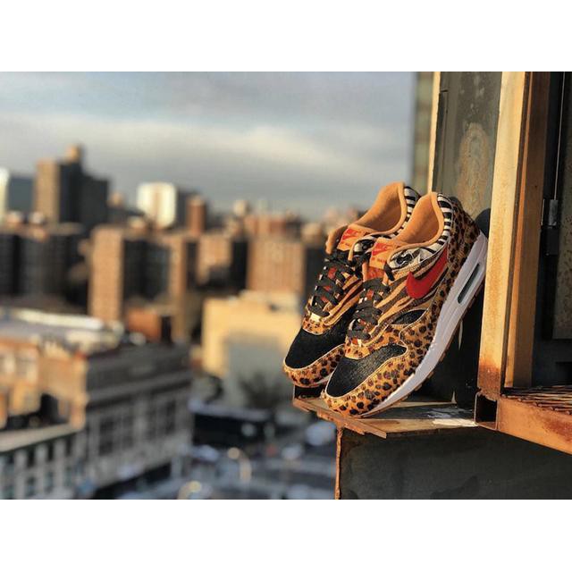 紐約范特西】ATMOS x NIKE AIR MAX 1 DLX AQ0928-700 4獸紋聯名