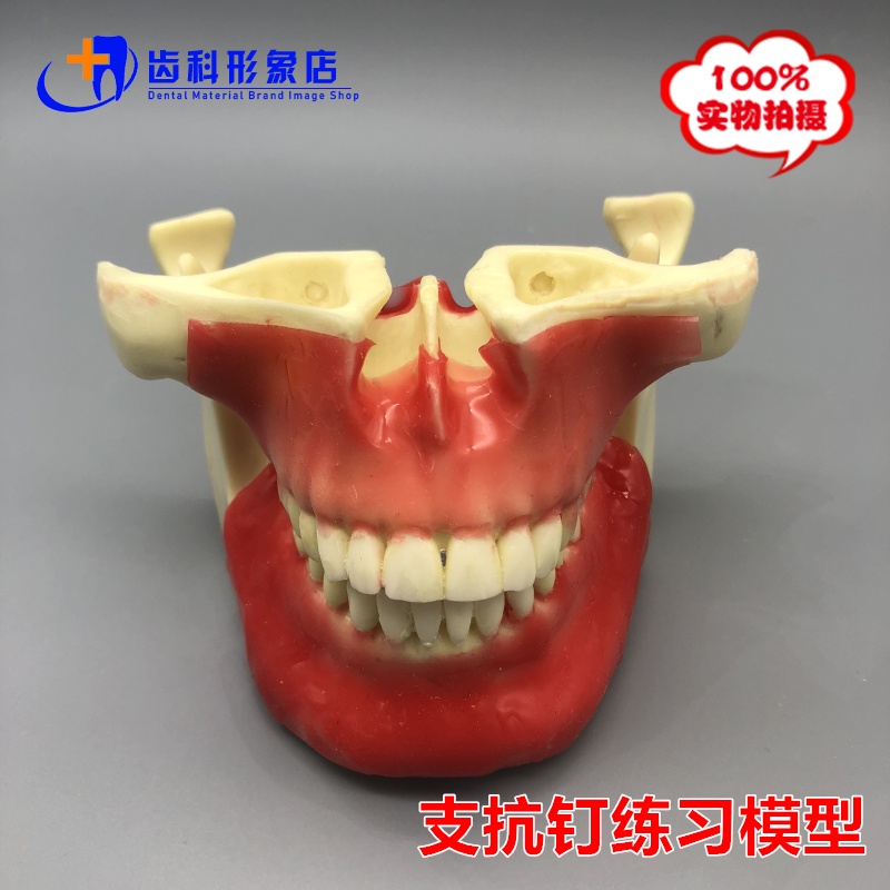 潔新牙科口腔 支抗釘練習模型 支抗釘牽引 種植牙教學操作上頜竇提升 蝦皮購物
