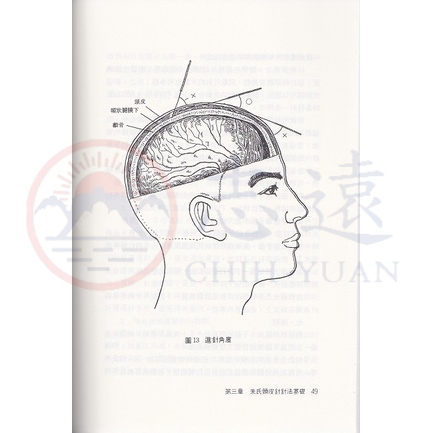 志遠】▹正版新書◃ 朱氏頭皮針朱明清旺文社中醫針灸| 蝦皮購物