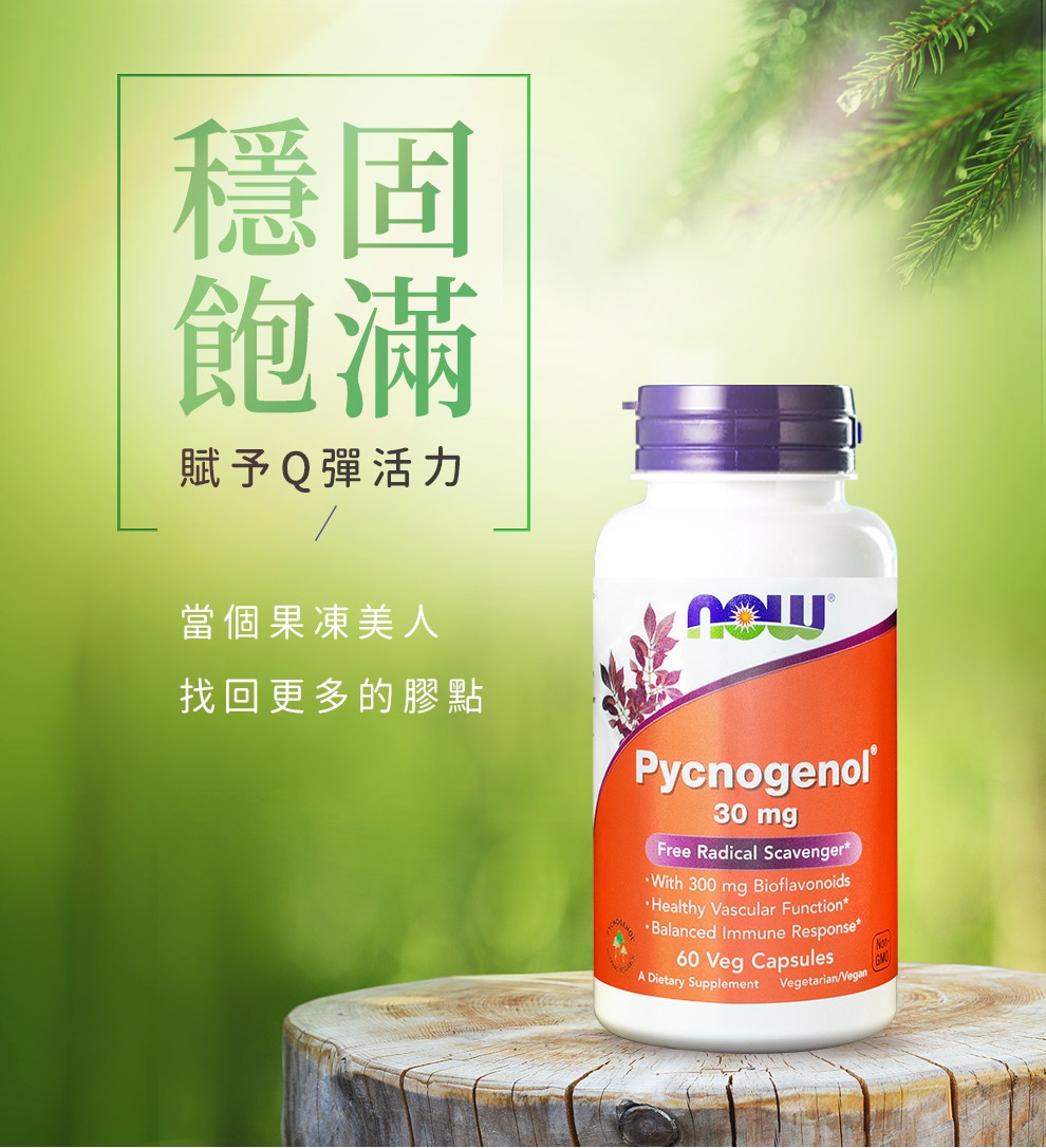 NOW健而婷 法國松樹皮 (60顆/瓶)三瓶組 | 蝦皮購物
