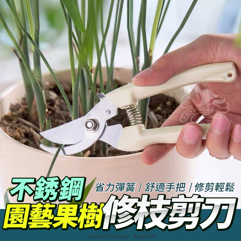 大信百貨》不鏽鋼 修枝剪刀【新品特價】採果剪 檳榔剪刀 果樹剪 花枝剪 修枝剪 粗枝剪刀 樹枝剪 花剪 | 蝦皮購物