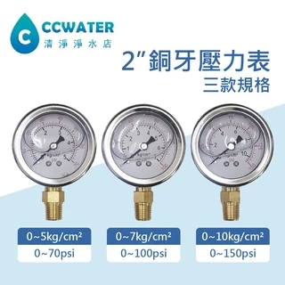 【清淨淨水店】2分銅牙壓力錶/白鐵壓力表/10KG/2" 水壓表/氣壓表/直立式空壓計/ 空壓表 試水壓力表200元。