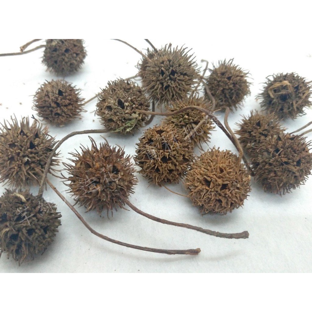 【芊綠人造花藝資材批發】每包50入 楓樹果 乾燥 果子 松枝果 松樹果 毯果 拍攝道具 乾燥花 幼兒園 DIY材料 | 蝦皮購物