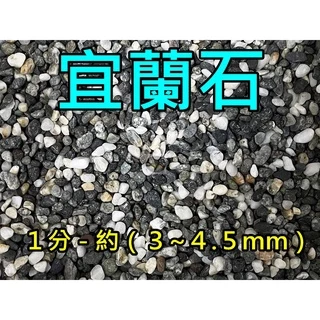 【樂魚寶】宜蘭石 1分 (3~4.5mm) 1公斤 宜蘭砂 大磯砂 石 孔雀砂 造景 底砂 園藝 盆栽鋪面