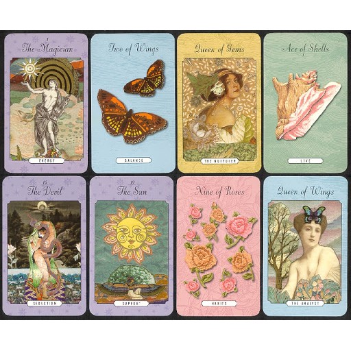 進口牌卡🌙 The Enchanted Love Tarot 夢幻之愛塔羅牌| 蝦皮購物