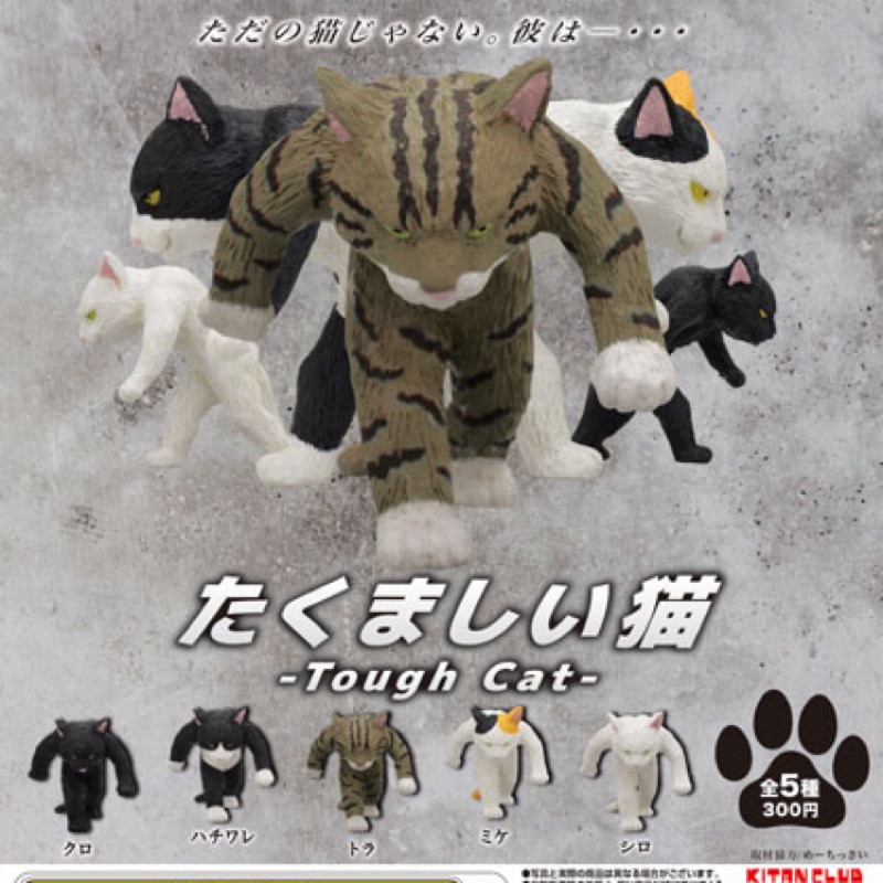 たくましい猫 怪貓貓公仔 | 蝦皮購物