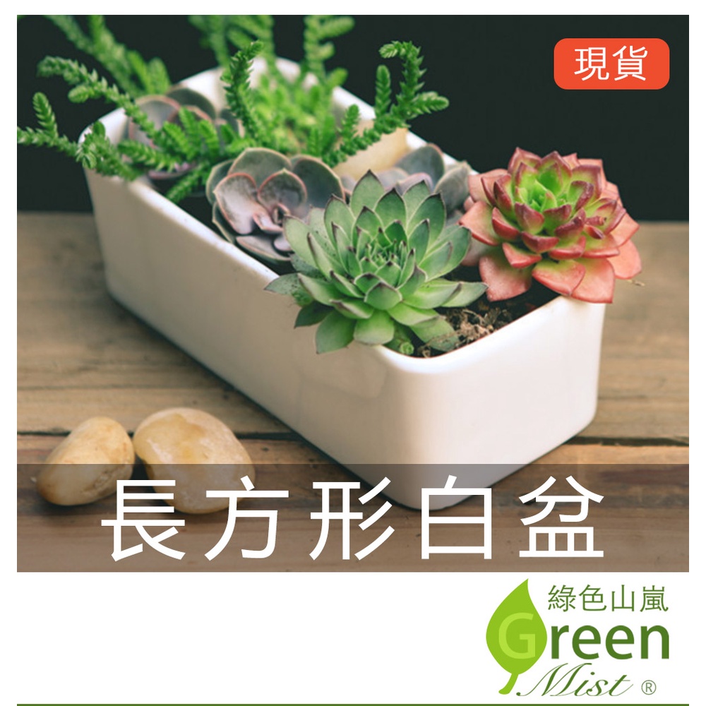 長方形陶瓷盆栽- 優惠推薦- 2026年7月| 蝦皮購物台灣