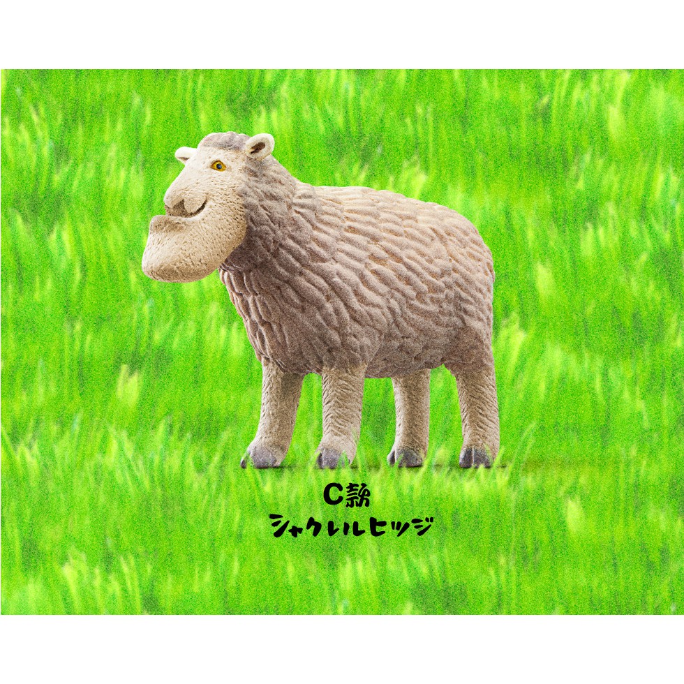 M.M小舖】 『現貨』熊貓之穴轉蛋扭蛋戽斗動物園戽斗星球厚道星球厚道動物5 厚道戽斗全6款| 蝦皮購物