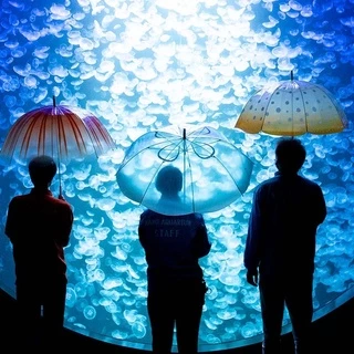 [1個月預購] YOU＋MORE！加茂水族館水母造型直傘