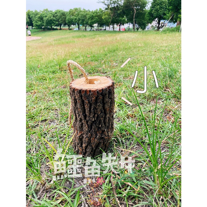可超取、店到店 鱷魚先生 樟木&龍眼木瑞典火炬(小) 露營驅蚊 木頭 臺灣樟木 焚火營火 原木火炬 野營 | 蝦皮購物