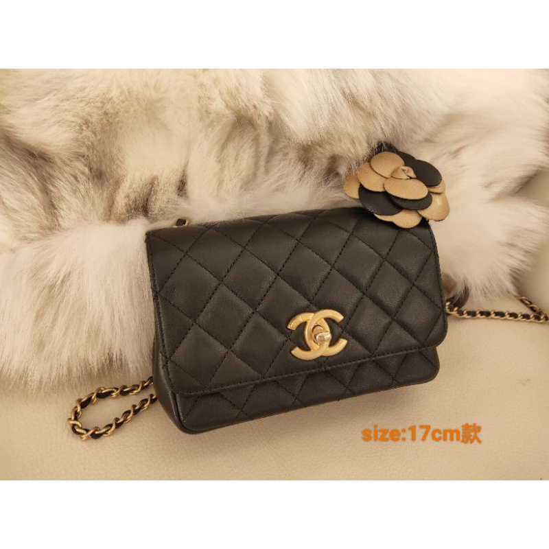CHANEL香奈兒 mini COCO17｜優惠推薦 - 蝦皮購物 - 2026年6月