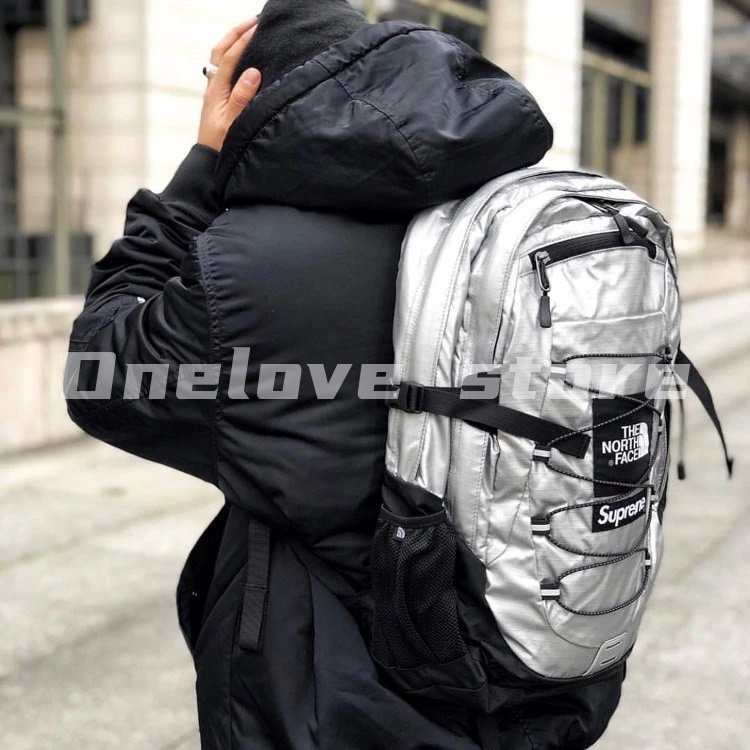 Supreme The North Face Metallic Borealis Backpack | 蝦皮購物