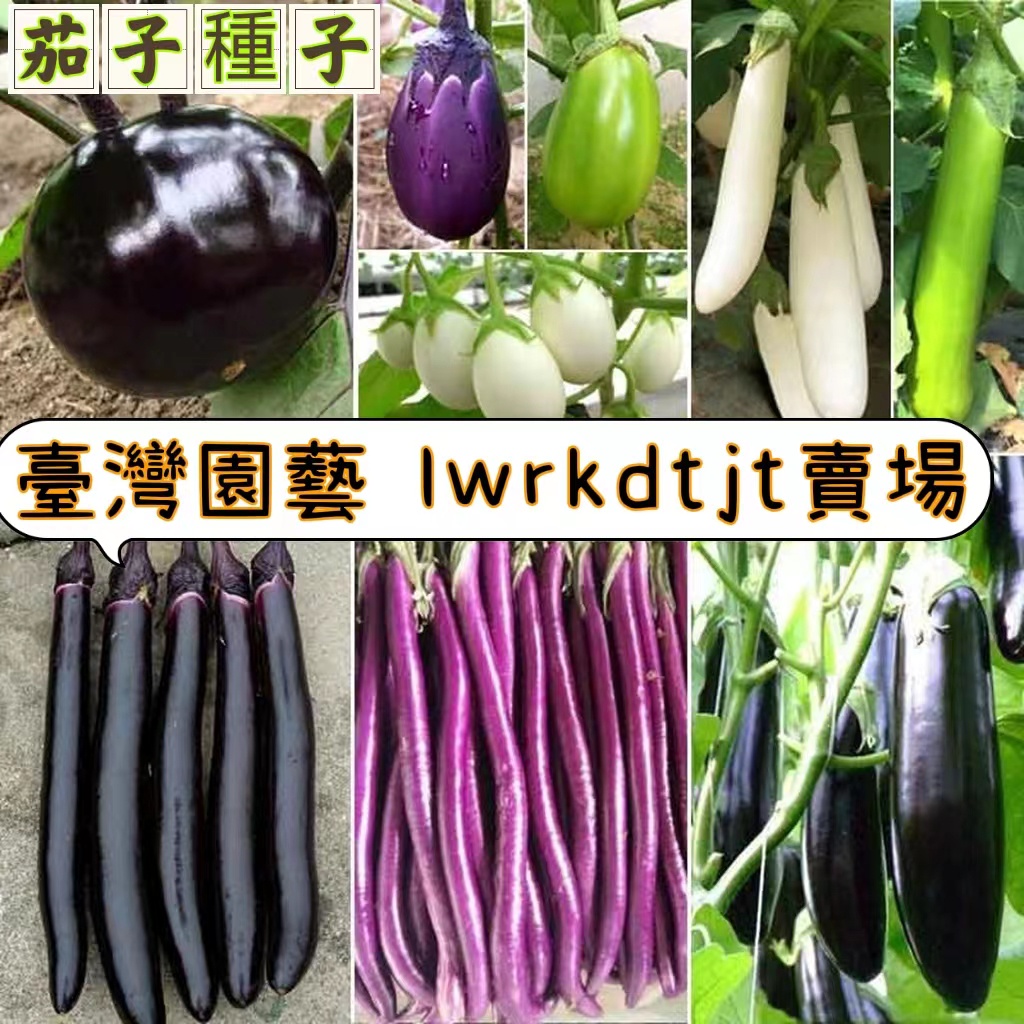 茄子摄影图__蔬菜_生物世界_摄影图库_昵图网nipic.com