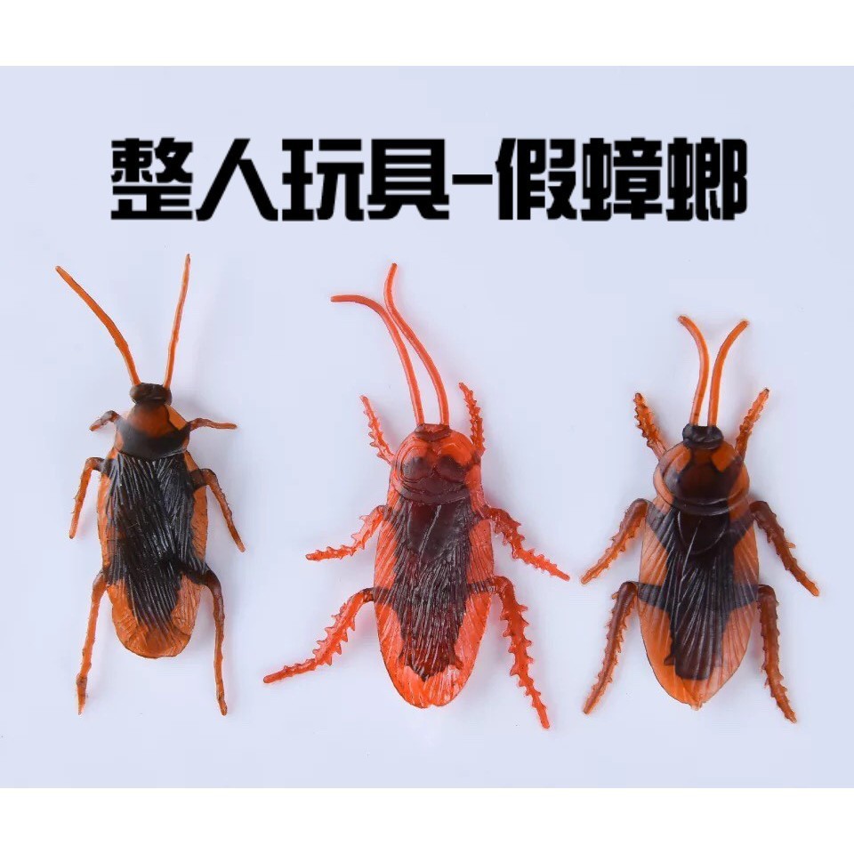 在台現貨 逼真假蟑螂 塑膠蟑螂 整人蟑螂 小強 愚人節 搞笑 整人 嚇人 小禮物 惡作劇【CF-01A-02589】 | 蝦皮購物