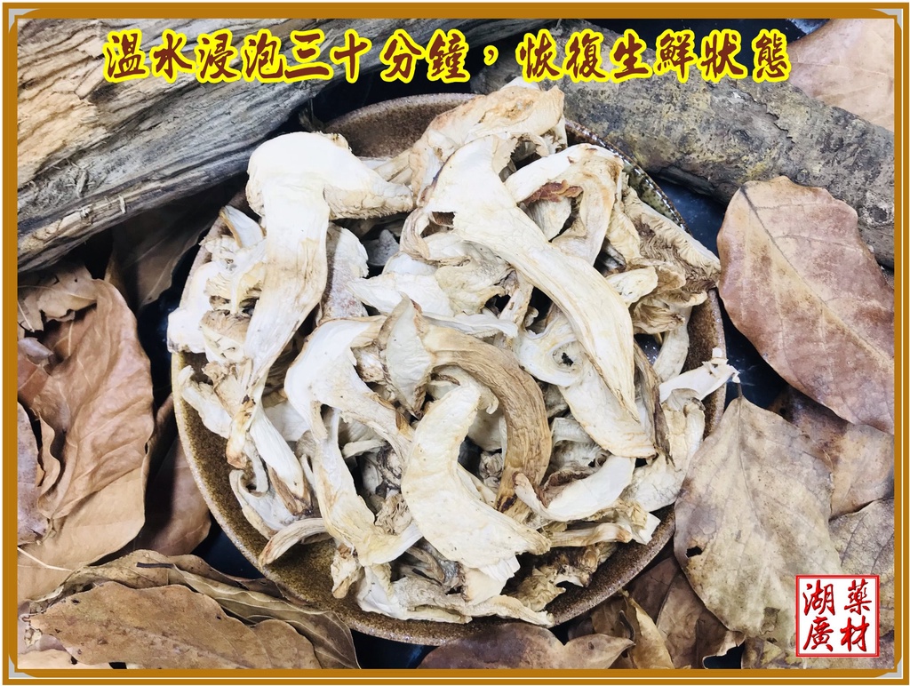 松茸 野生松茸片 以及 養殖松茸片 香格里拉松茸片 松菌 松口菌/一包100公克【啟陞食品】湖廣藥材 迪化街一段74號 | 蝦皮購物