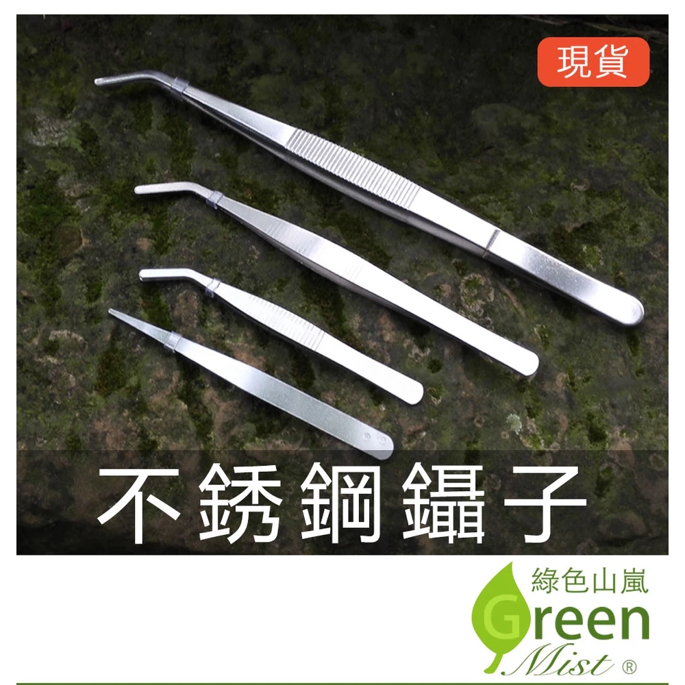 不銹鋼鑷子 微景觀 多肉植物 苔蘚盆栽工具 園藝/水族/爬蟲用 水草夾 多肉夾子 園藝工具 防滑 帶齒鑷子【綠色山嵐】