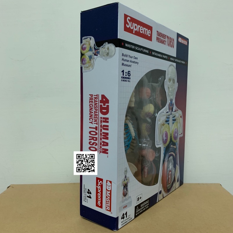 Supreme Male Anatomy Model Clear - FW18 - US