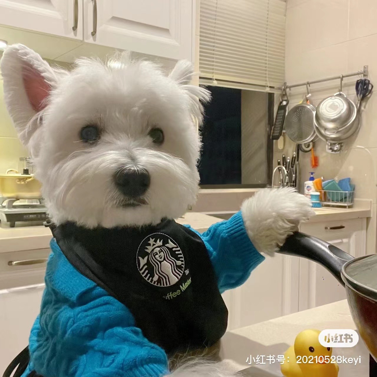 四大神獣 青龍 白虎 朱雀 玄武 筆架茶台 茶寵 辟邪 開運 風水 招財 置物 四大神獣 青龍 白虎 朱雀 玄武 筆架茶台 茶寵 辟邪 開運 風水 招財