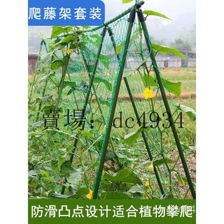 瓜架 花架 爬藤架 爬藤支架 花盆支架 支撐籬笆 黃瓜架 種菜爬藤架 豆角支架 陽臺庭院蔬菜固定架桿柱 園藝攀爬牽引桿 | 蝦皮購物