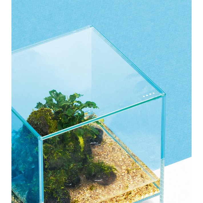 都内引取希望　DOOA　ネオグラスエア　30×30×45 都内引取希望 DOOA ネオグラスエア 30×30×45 （DOOA 奥深し ネオ