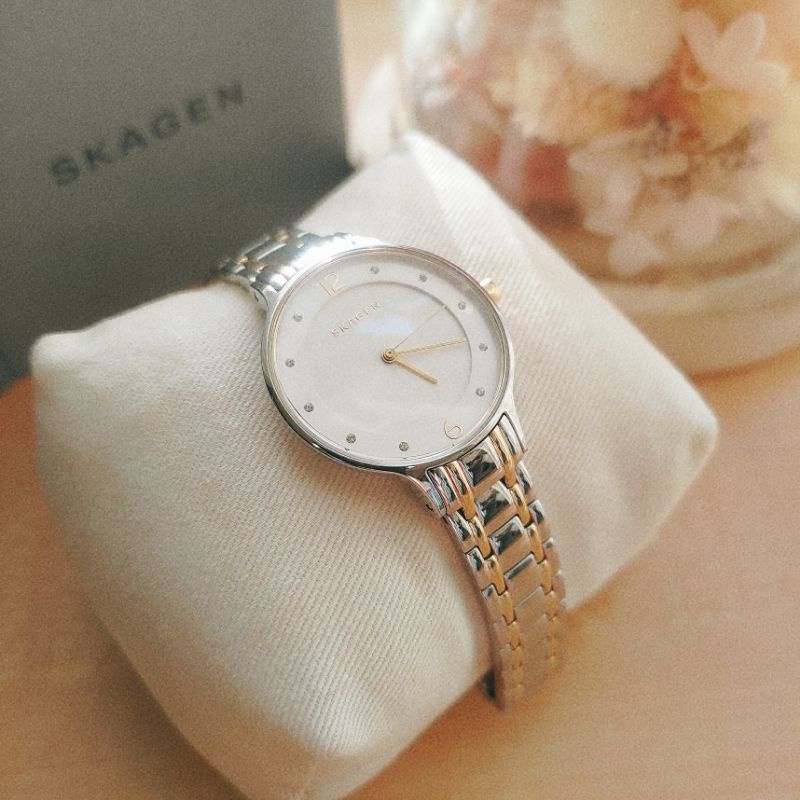 Skagen skw2321 hotsell