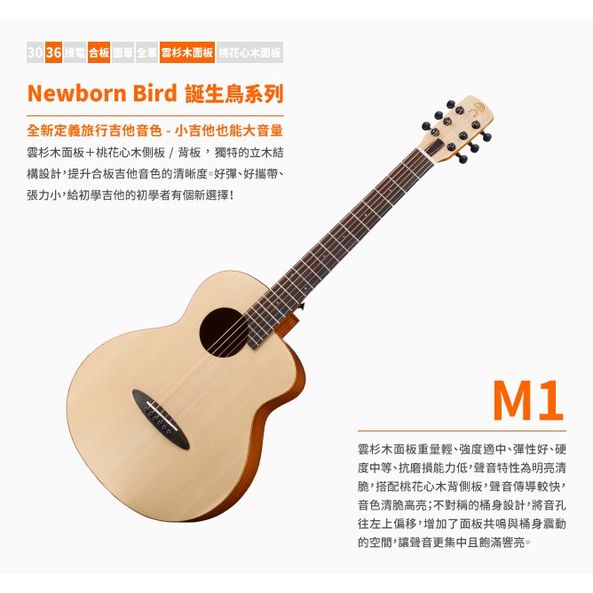 【名人樂器】aNueNue ANN-M1 36吋 旅行 BABY New Born Bird 民謠 木吉他 鳥吉他