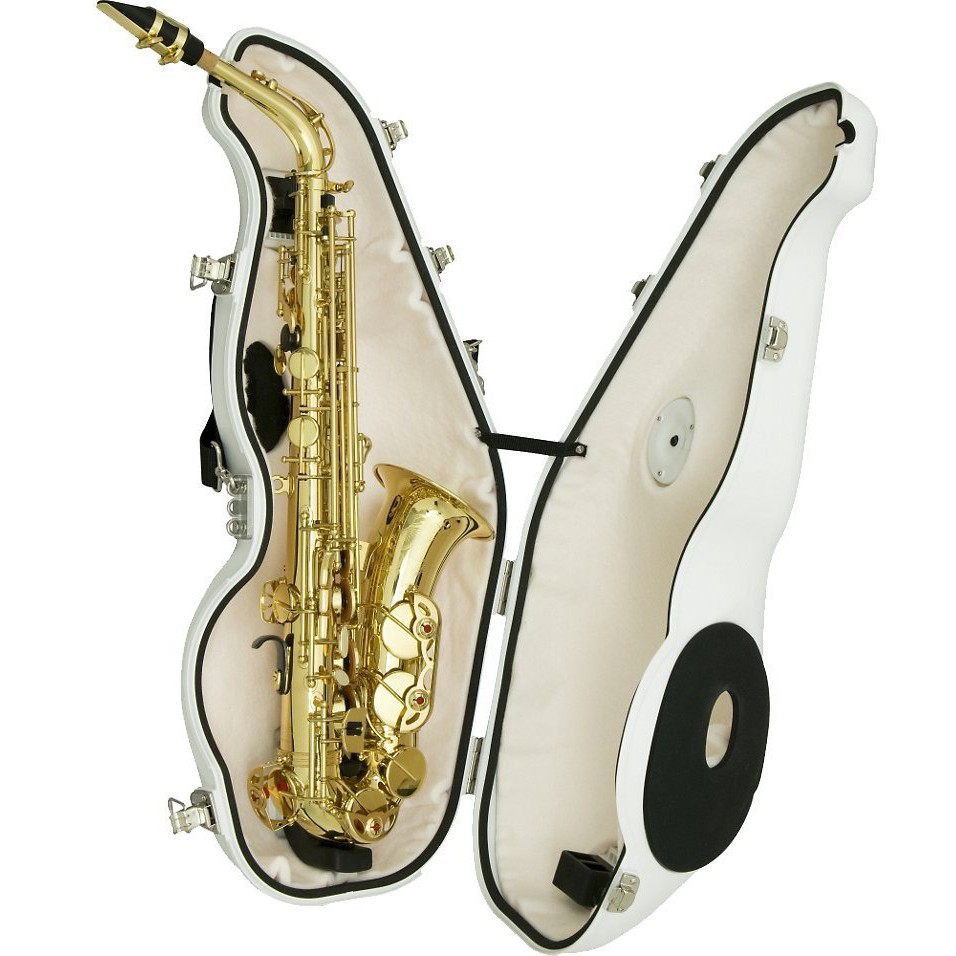 唐川音樂§【Best Brass e-Sax ES3-AS 中音薩克斯風用靜音箱】(日本