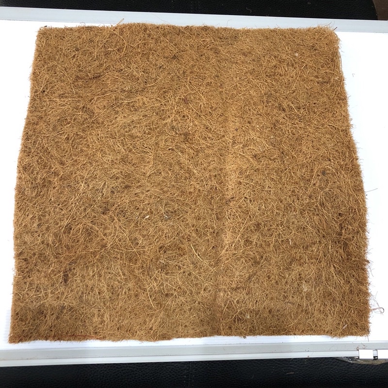 【花菓木】天然椰纖毯 蕨類 觀葉植物 蘭花 DIY用材 40x40cm | 蝦皮購物