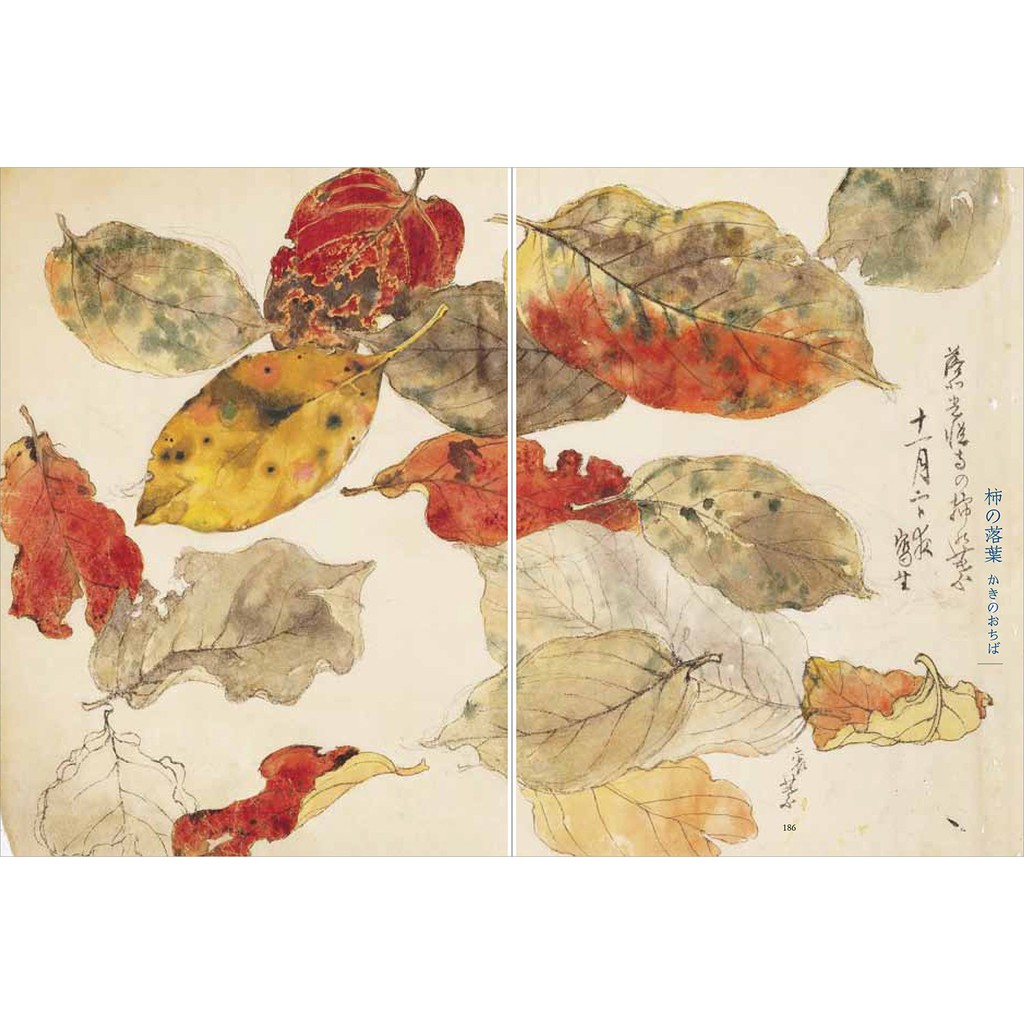 デザイン No.155 1972年3月(編 : 奥田昭夫 ; 表紙デザイン
