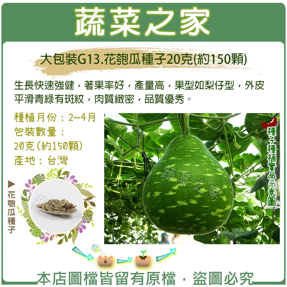 【蔬菜之家滿額免運00G13】大包裝.花匏瓜種子20克(約150顆) | 蝦皮購物