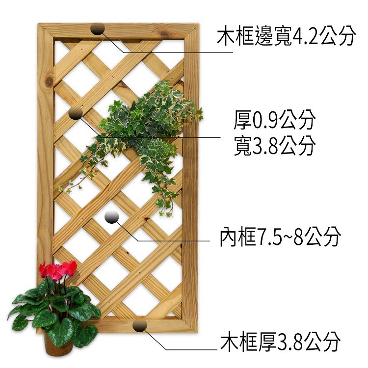 南方松防腐木圍籬30*60有框格網︱柵欄．籬笆．圍欄．花架．格柵．花格