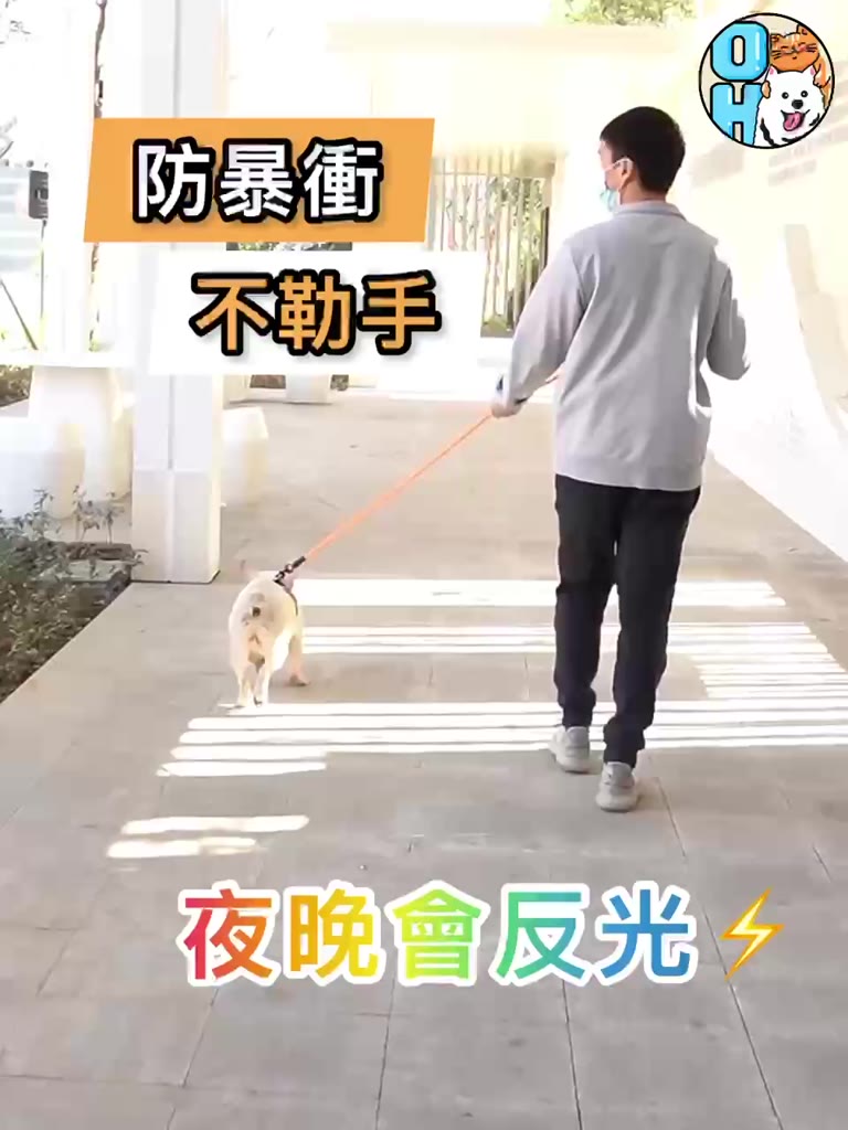 【秒發🔥夜間反光】狗牽繩 加粗寵物牽引繩 防暴衝寵物牽繩 牽引繩 狗繩 牽繩線 牽狗繩外出繩子 溜狗繩遛狗帶 狗狗牽引繩 | 蝦皮購物