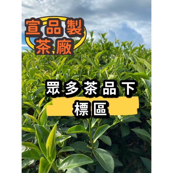 2021特集 残2 台湾茶の名産地✳︎南投松柏坑 絶品 四季春茶