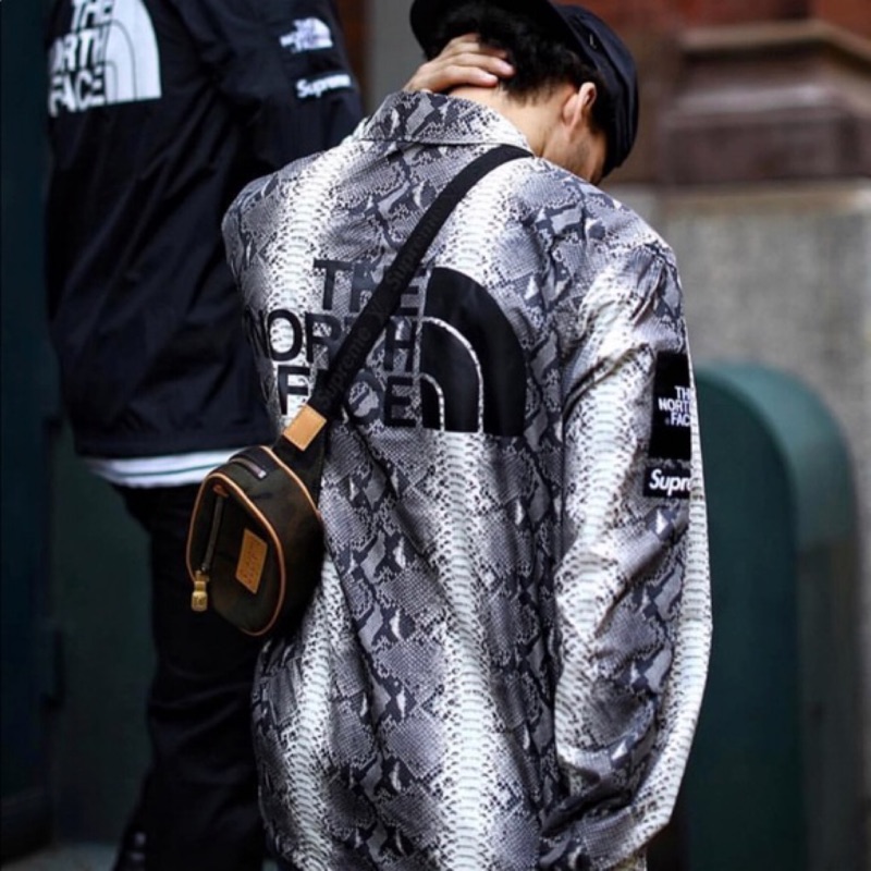 Supreme x outlet tnf snakeskin jacket