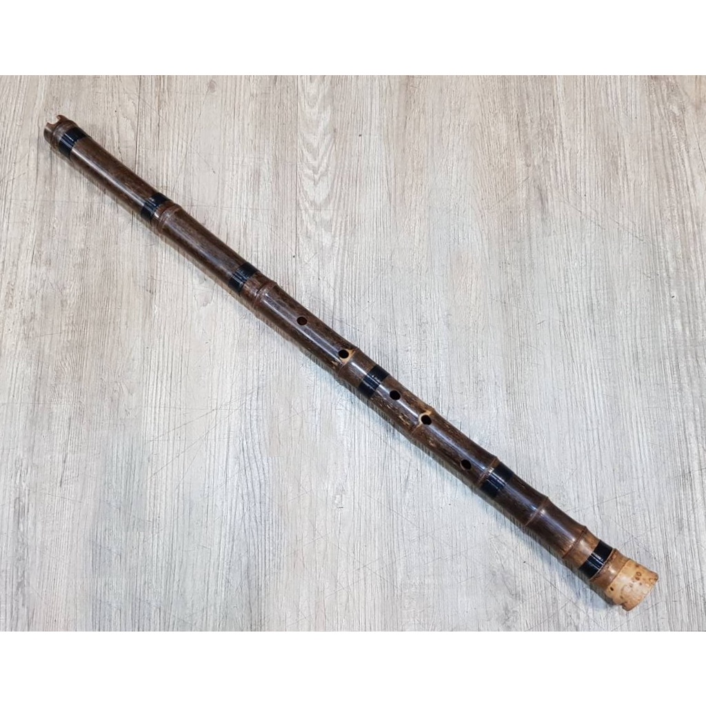 ＊雅典樂器世界＊ 極品 六孔 紫竹 洞簫 南簫 F調 | 蝦皮購物