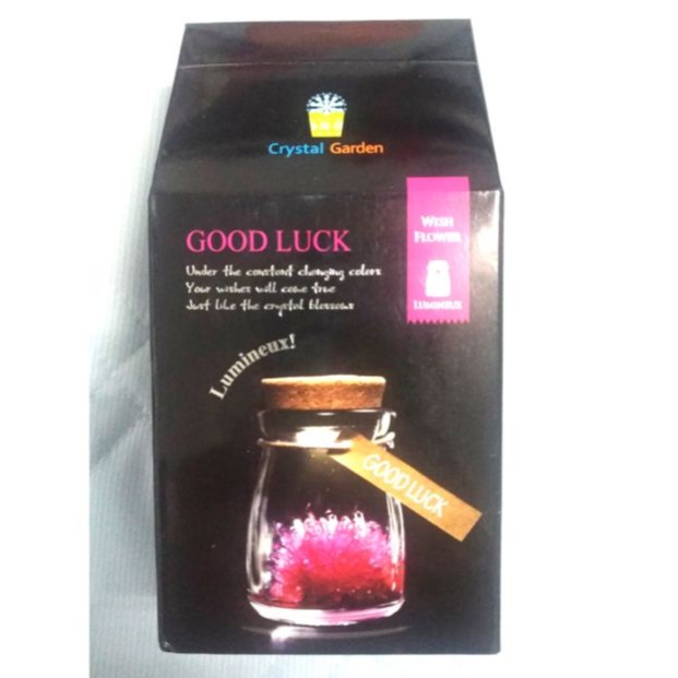Crystal Garden Wish Flower 夜光晶靈 許願花 Good luck 公司貨 蝦皮購物