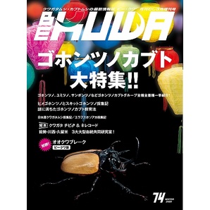 【黃金蟲蘭 網路商店】(現貨) BEKUWA 第74集 五角大兜屬特集