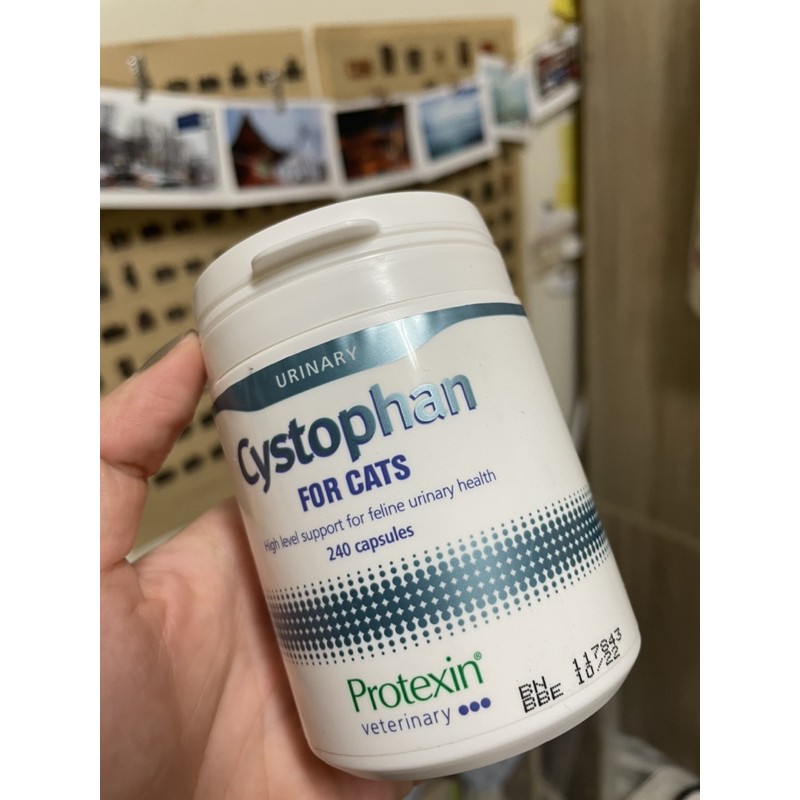 現貨 *夾鏈袋分裝包*寵特寶 安泌利 Cystophan 30顆 貓用 | 蝦皮購物