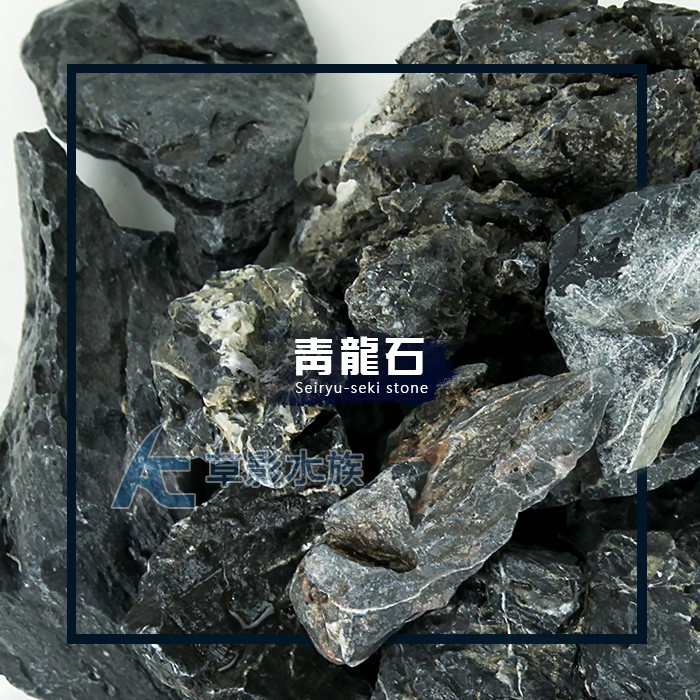AC草影】青龍石（S/1kg）【一份】天然石材魚缸裝飾ADA造景水草造